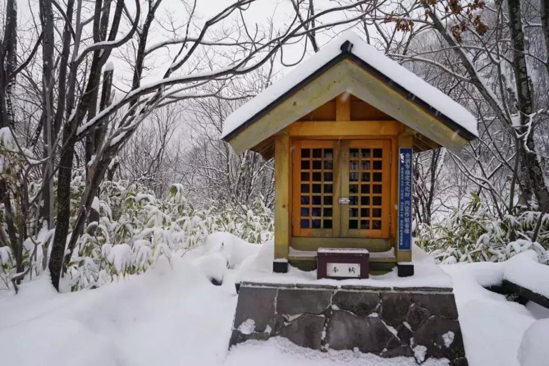 中国雪乡vs日本北海道雪景,日本北海道和东部雪乡哪个好