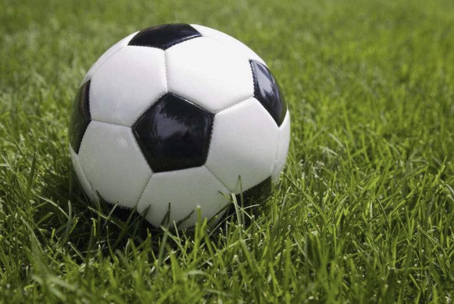 创建足球特色幼儿园的目标,创办少儿足球培训