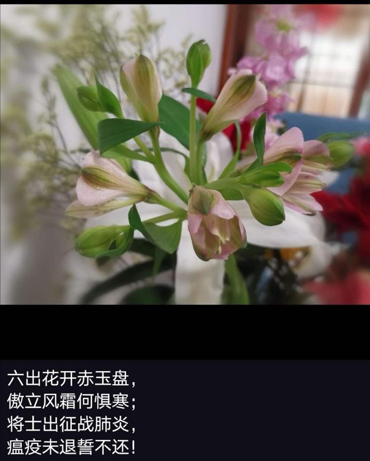 南阳县王天才,南阳医院医生王天才