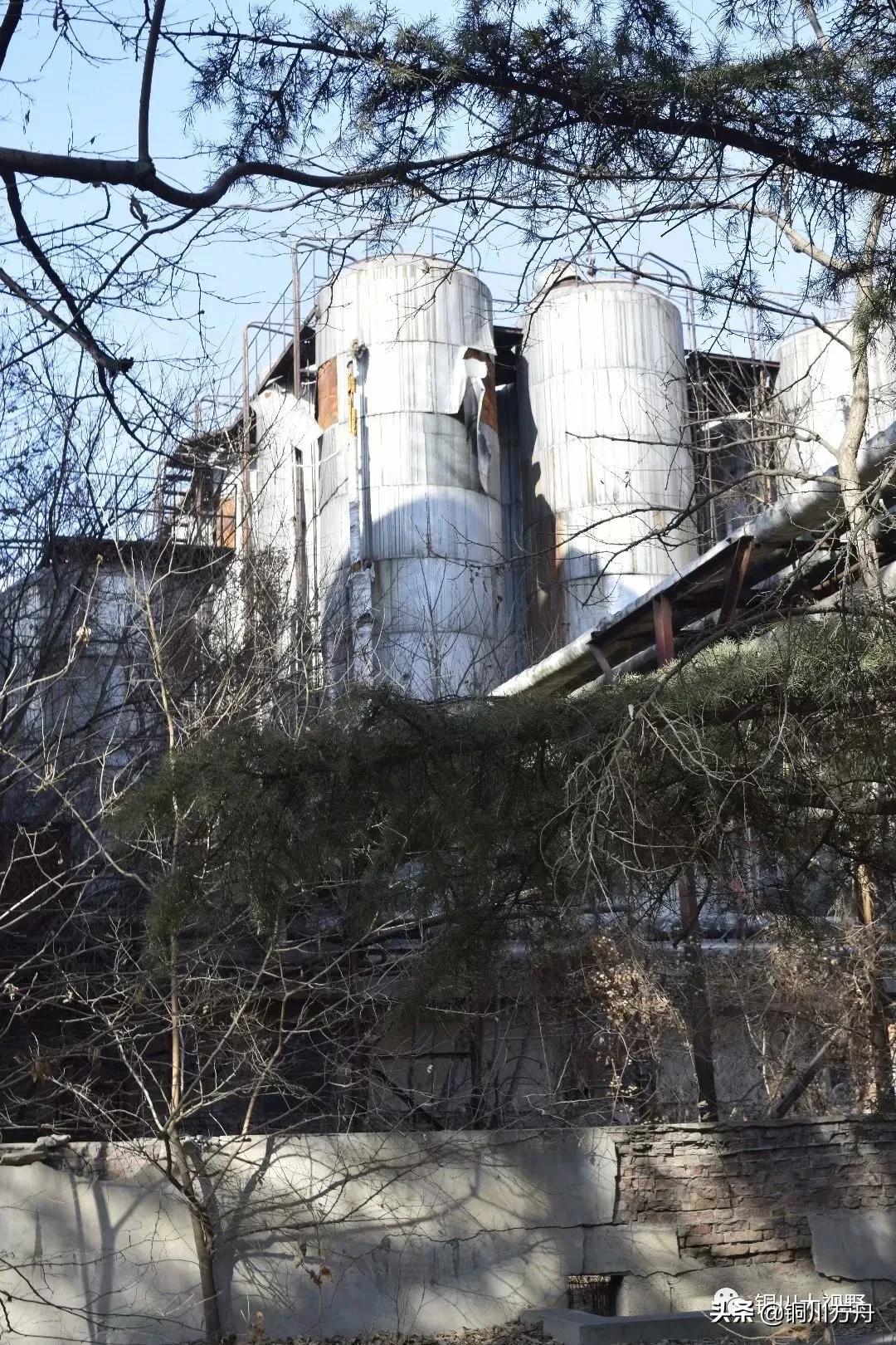 还记得当年啤酒的味道吗,铜川有什么啤酒品牌