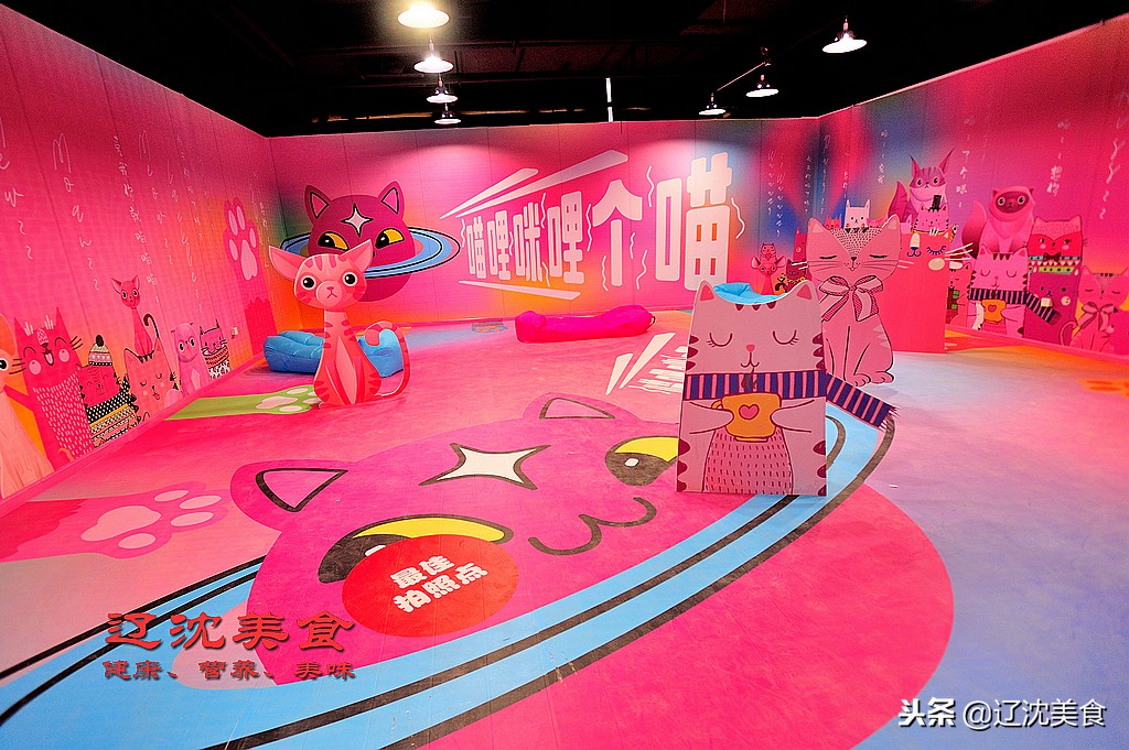 沈阳最新大型综合体,沈阳即将落户的大项目