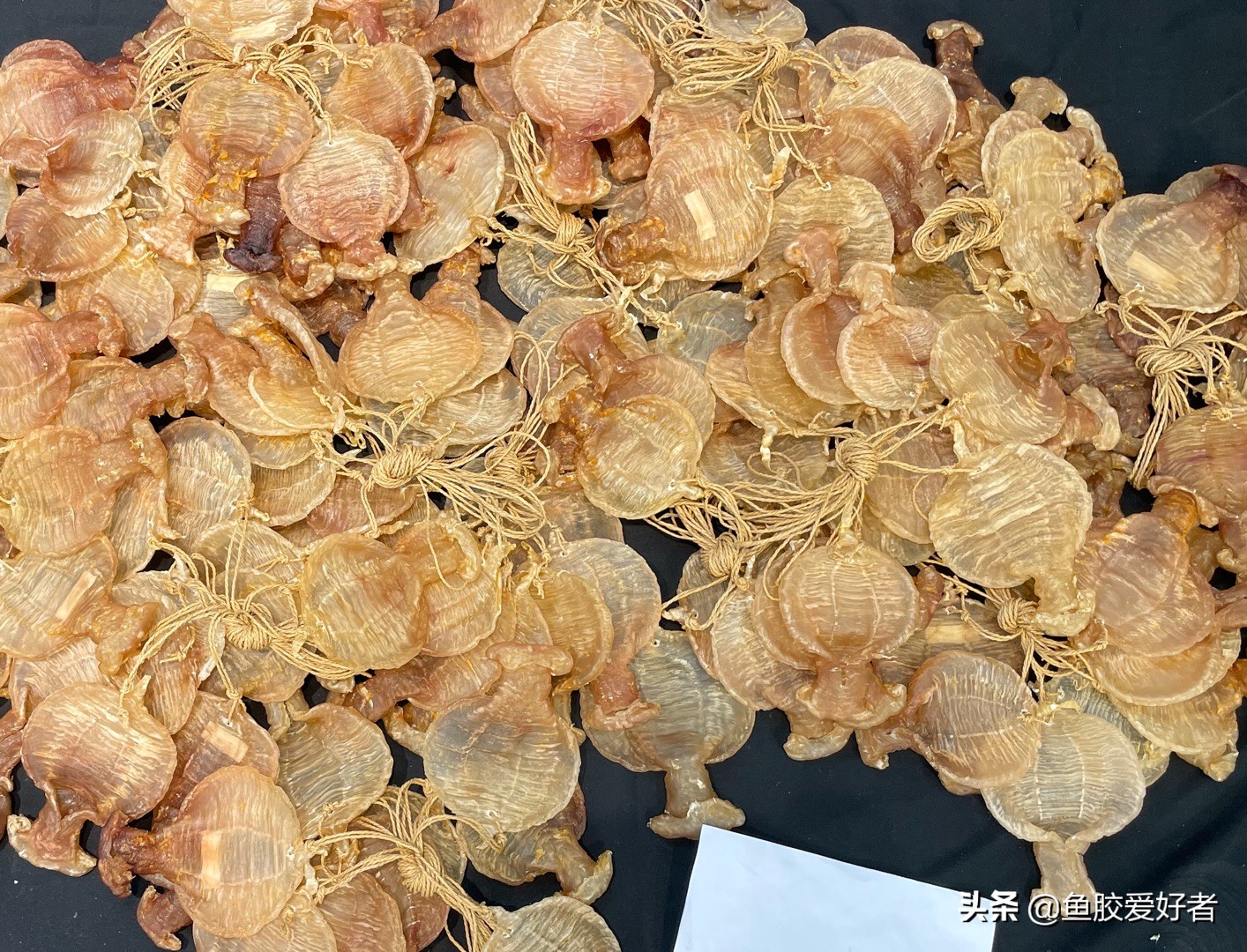 油炸鱼胶正确的泡发方法,潮汕人鱼胶正确的泡发方法