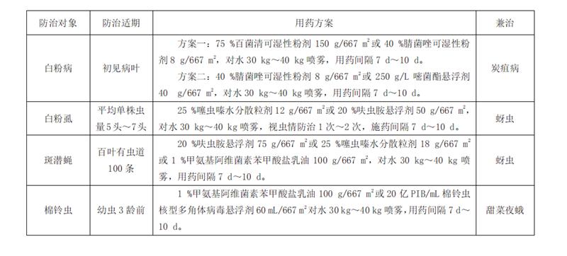 苦瓜的全套种植技术，这样种出的苦瓜产量高、品质优、营养还丰富