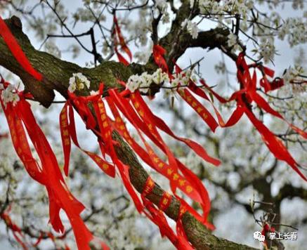 好事成双！拿长春消费券游莲花山，有折扣有套餐！