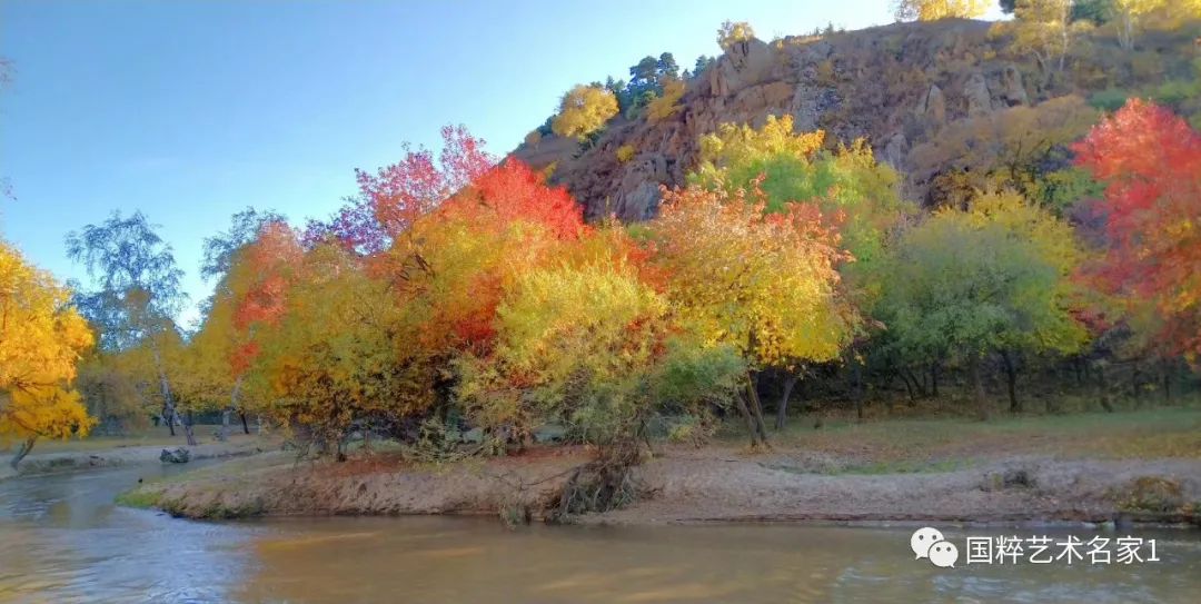 国粹艺术名家刘文清,国粹艺术名家樊晓晖