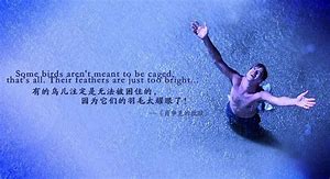 解读肖申克的救赎电影,肖申克的救赎一部令人深思的电影