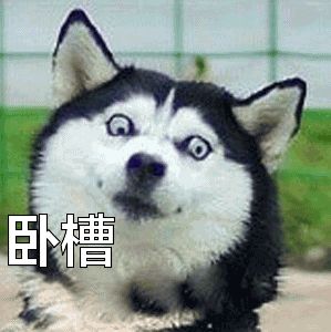 50块解锁《庆余年》：花了钱还要跪着当韭菜的视频VIP