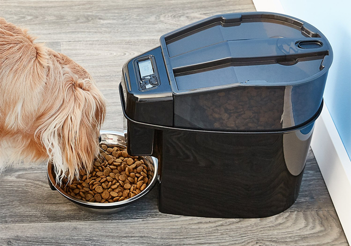 给狗狗强行喂药会造成什么伤害,狗狗喂药要隔多长时间才可以喂药