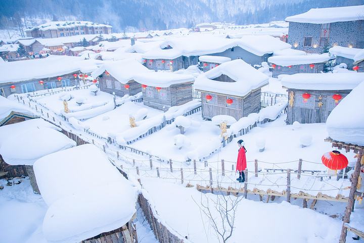 冬天结石发病高,胆结石为什么容易冬天发作