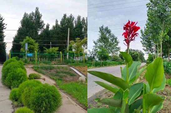 衡水生态环境保护绘画,衡水美丽宜居乡村