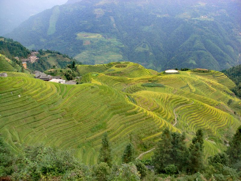 龙脊梯田七星伴月是什么意思,龙脊梯田七星伴月