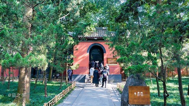 成都网红旅行攻略,四川成都新津最新网红打卡景点