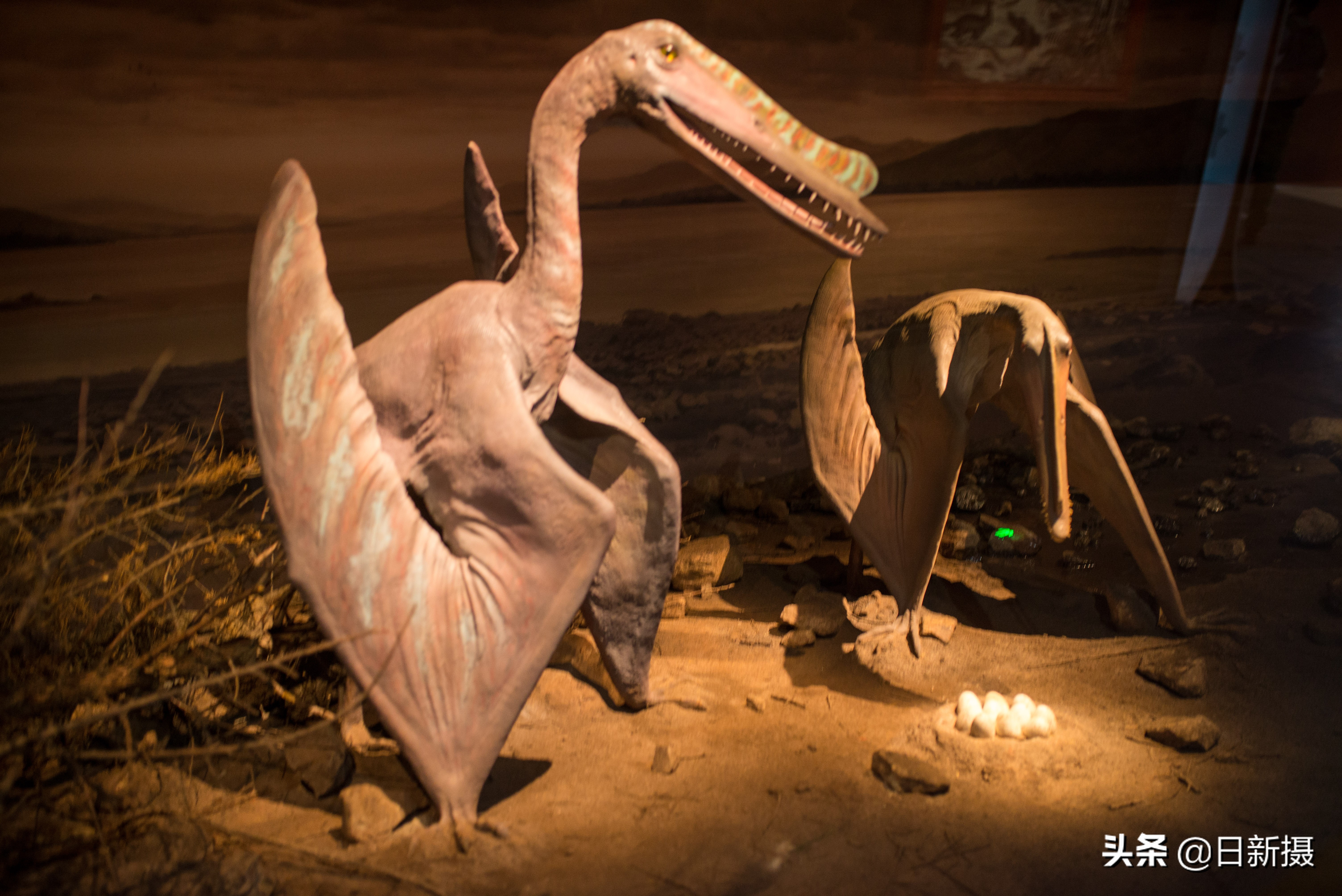 国家海洋博物馆之行,国家海洋博物馆蓝色海洋体验馆