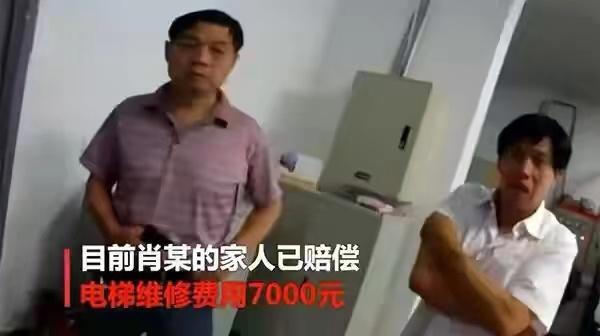 采访李子柒拍摄视频的心酸历程,对李子柒印象最深视频