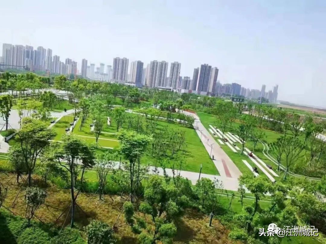 芳草萋萋汉水边,杨泗港大桥江滩公园网红打卡地