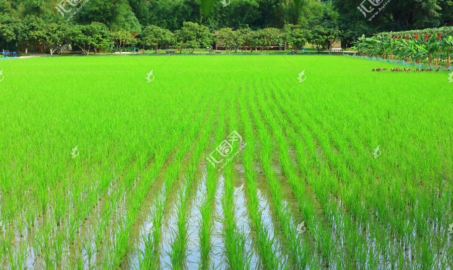 我们的十岁成人礼,我们的成人礼片段