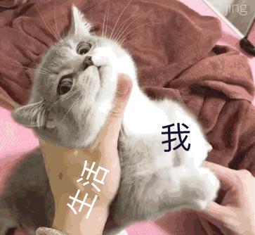 整形医院薅羊毛,整形医院的获客之道