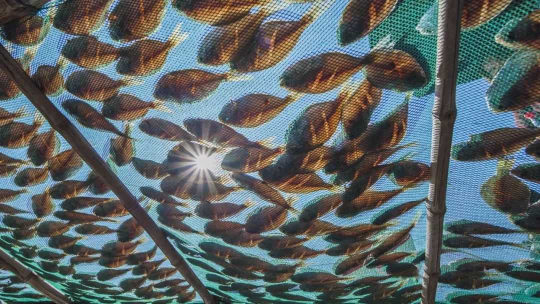 什么是台州畅行码,什么是台州