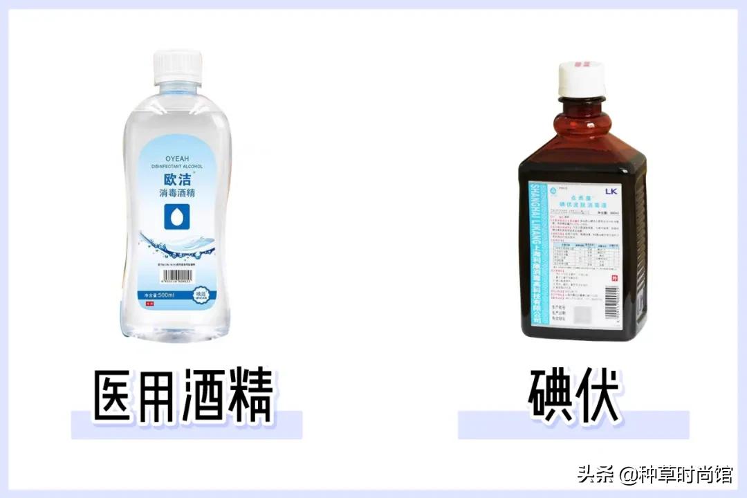 这5类人不能打疫苗,第一次打耳洞千万别踩雷