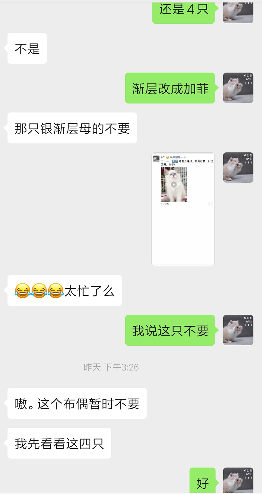 宠物店生意好做吗,宠物店生意前景怎么样