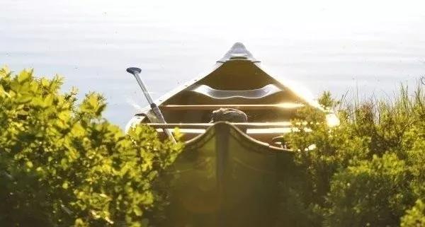 双鱼座集合了11个星座,12个星座中双鱼座是不是穷的