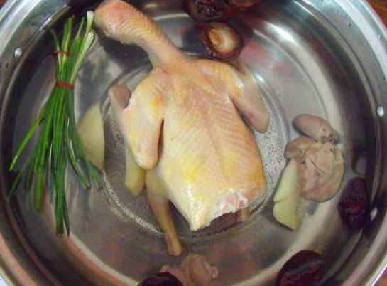 一鸽胜九鸡滋补营养,一鸽胜九鸡鸽子汤的功效都有哪些