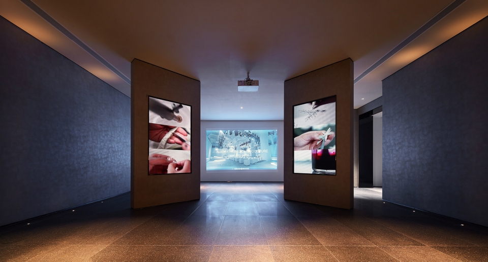 艾尔文艺术,厦门艾尔文培训