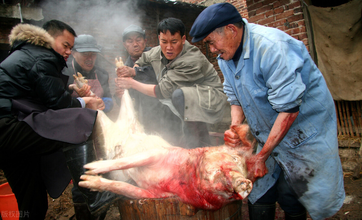 如何区分鲜肉和冷鲜肉的区别,冷鲜肉和新猪肉的区别