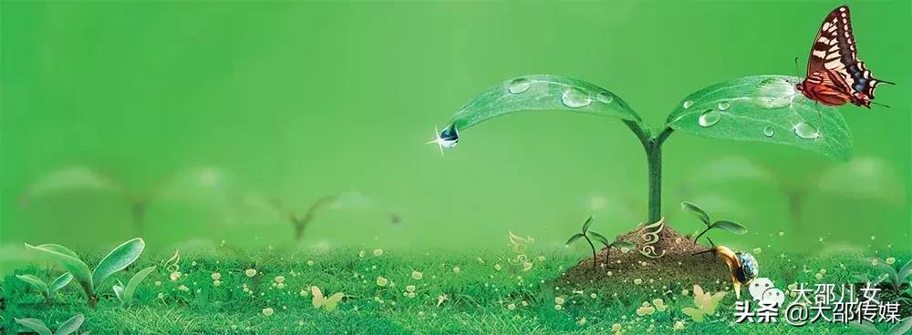 深圳孙建雄,深圳隆回同乡联谊会