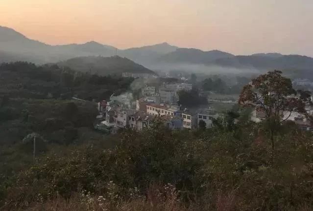 农村人致富门路有哪些,农村有什么最好的最快的致富方法