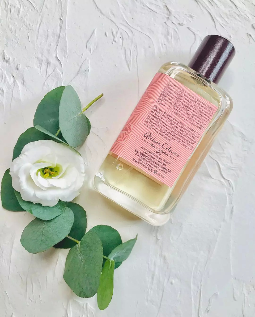 为什么rihanna那么火,rihanna副业赚多少钱