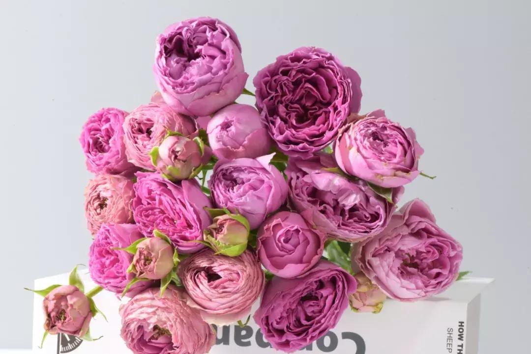 那些年你爱过的小说女配,那些年你爱过的老歌