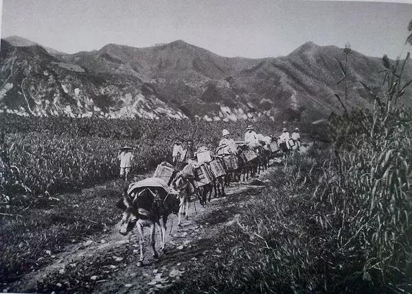 中国最使人惊叹的景观,一百多年前的风景