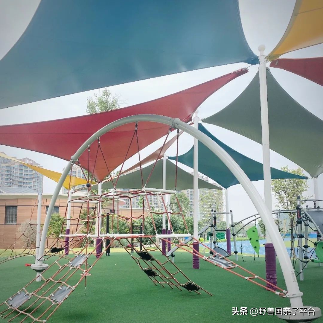 清澜山学校什么档次,入读清澜山学校需要什么条件