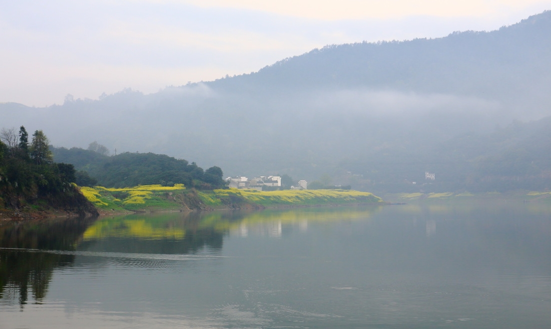 歙县观赏油菜花经典路线,歙县自驾游婺源看油菜花车停哪里