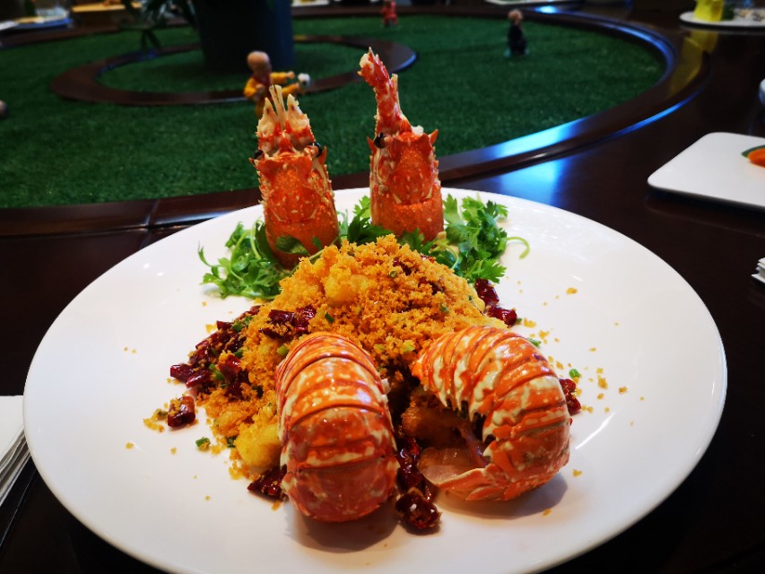 唐山研学好去处,唐山研学游