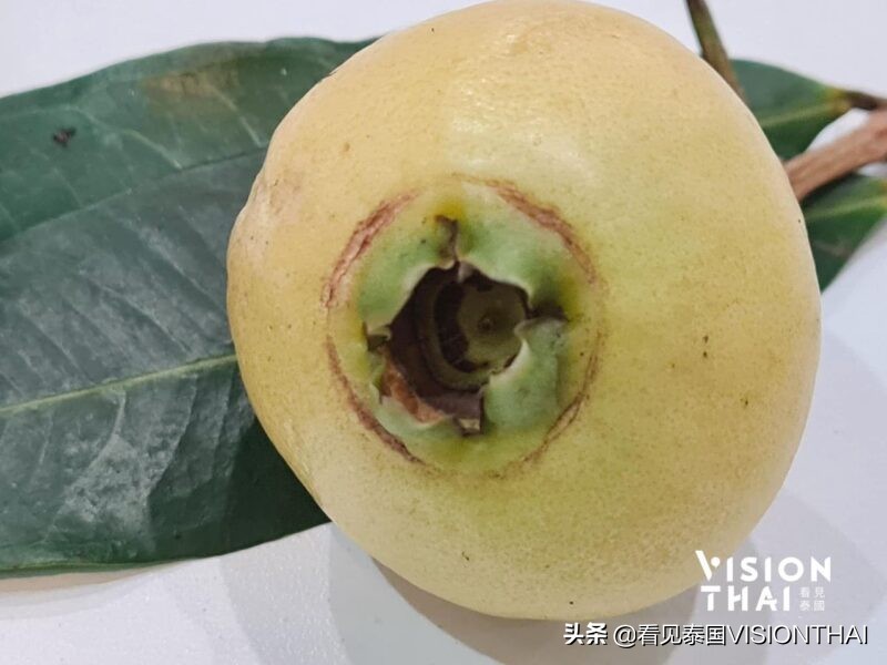 泰国榴莲和山竹果园,泰国水果山竹芒果