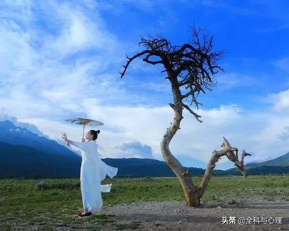 神奇的种子法则全集,神奇的种子的主要内容