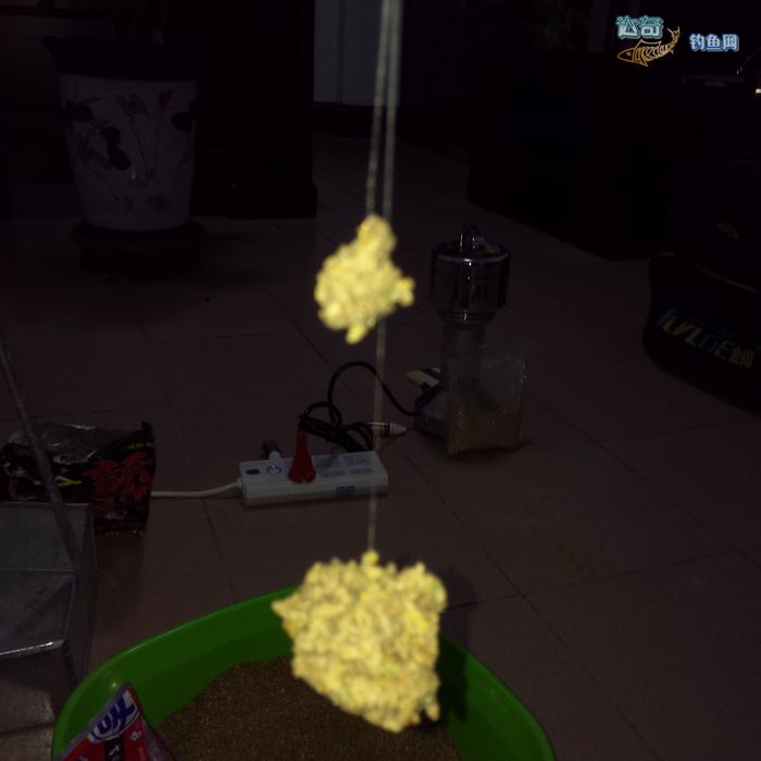 100毫升饵料十竿就拉下去，只允许一款拉饵的黑坑怎么拉大饵技巧