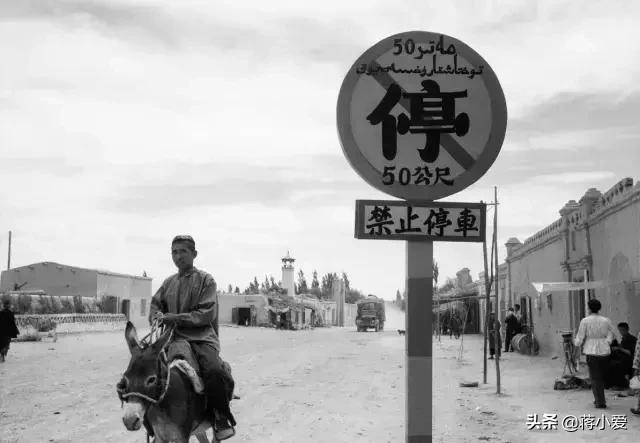 60年代新西兰,六十年代新西兰