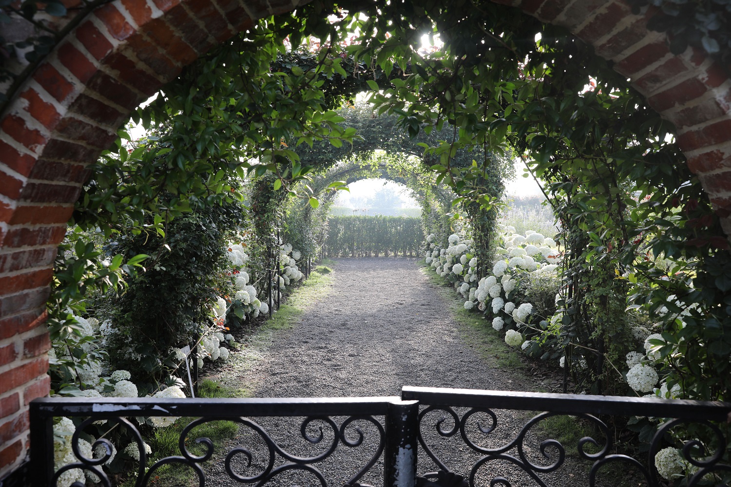 海蒂和噜噜的花园值得推荐吗,海蒂和噜噜的花园打卡