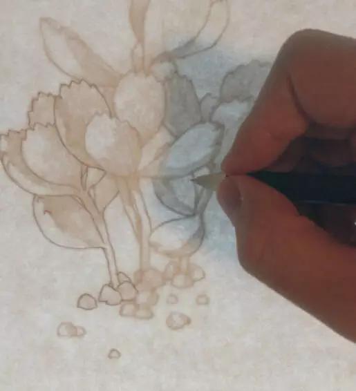 彩铅画入门教程多肉,彩铅画教程入门多肉