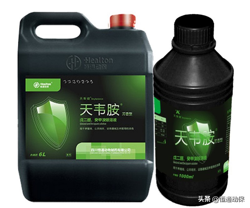 母猪生产顺利怎么做好产后护理,母猪分娩后怎样才能养好母仔猪