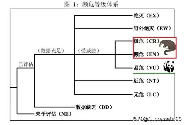 吃野生穿山甲的后果,吃了穿山甲会有什么法律后果