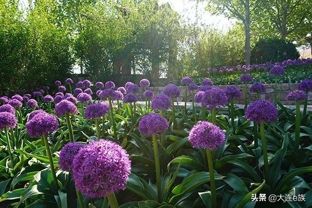 大连五一野餐攻略,大连野餐排名一览表