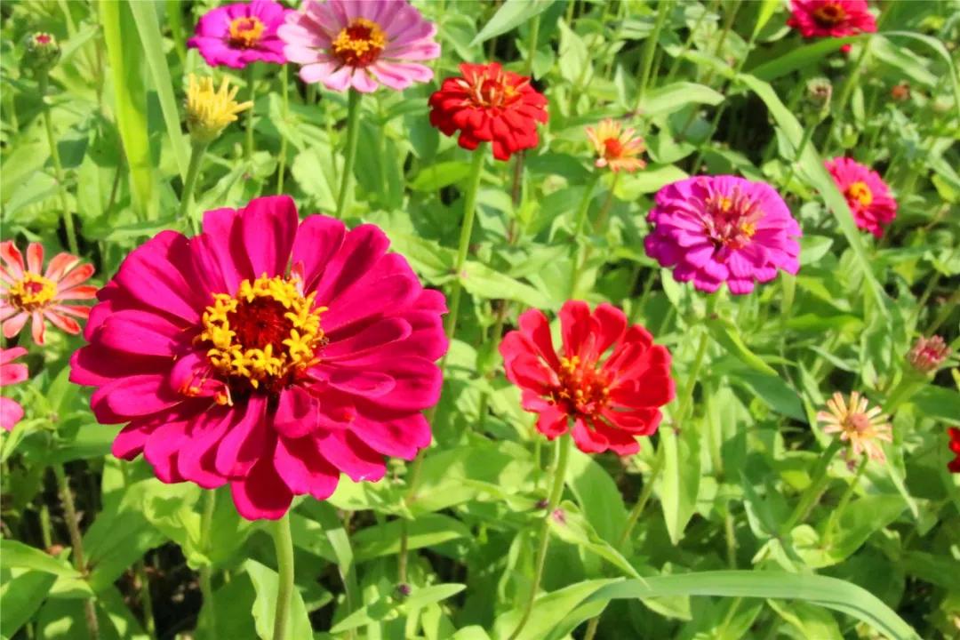 晚上的海棠湾,海棠湾真的很美