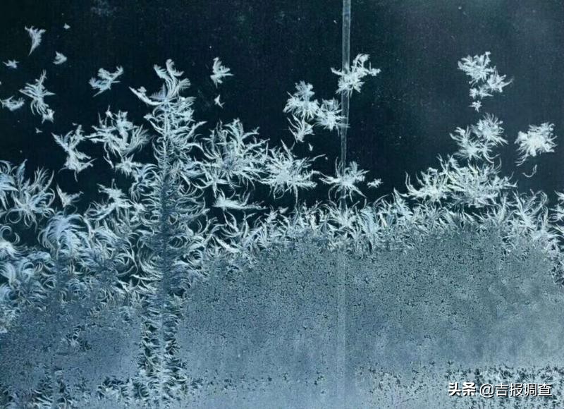 清晨玻璃窗上结满了霜花,唐古拉玻璃窗上的霜花