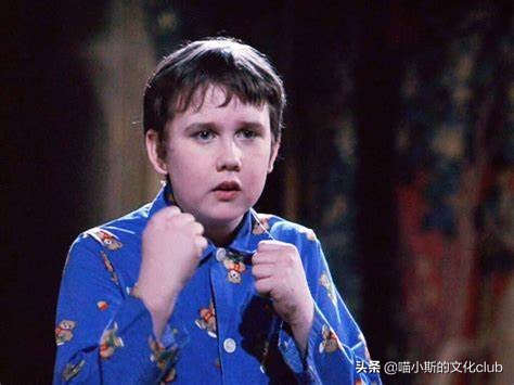 哈利波特母亲的爱,哈利波特里的妈妈们