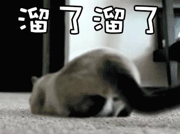 仙人跳发源地,仙人跳的来历是怎么来的