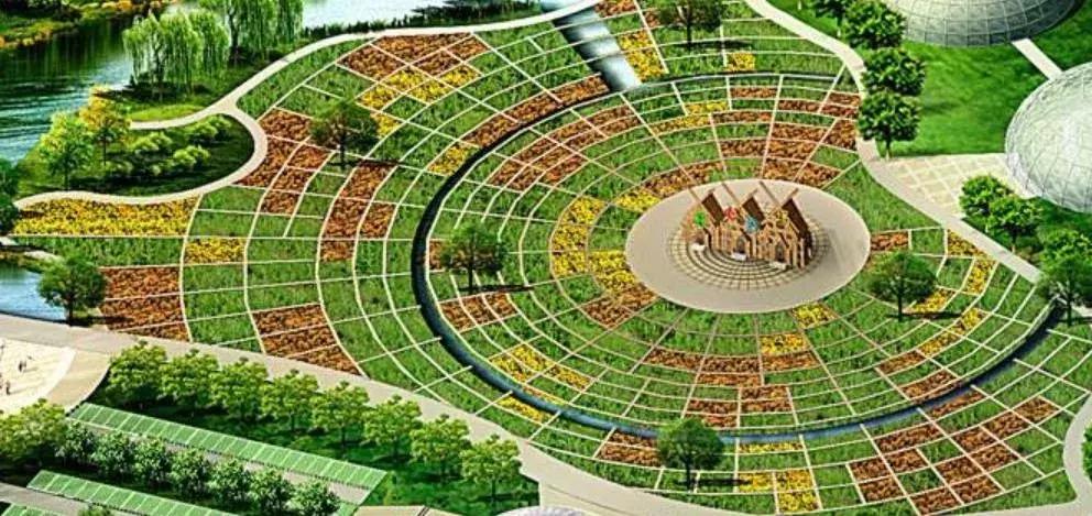 有机农业为什么不好做,有机农业为什么这么难做